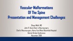Vascular Malformations of The Spine: Presentation and Management Challenges by Ghaus Malik