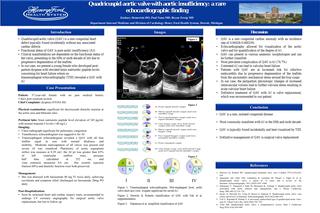 Quadricuspid aortic valve with aortic insufficiency: a rare echocardiographic finding