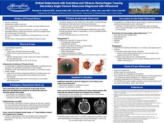 Retinal Detachment with Vitreous Hemorrhage Causing Acute Angle Closure Glaucoma