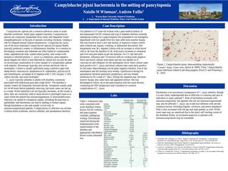 Campylobacter jejuni bacteremia in the setting of pancytopenia