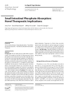 Small Intestinal Phosphate Absorption: Novel Therapeutic Implications