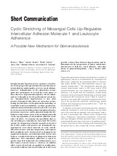 Cyclic stretching of mesangial cells up-regulates intercellular adhesion molecule-1 and leukocyte adherence: A possible new mechanism for glomerulosclerosis