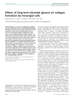 Effects of long-term elevated glucose on collagen formation by mesangial cells