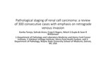 Pathological Staging of Renal Cell Carcinoma: A Review of 300 Consecutive Cases