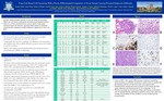 Clear Cell Renal Cell Carcinoma With a Poorly-Differentiated Component: A Novel Variant Causing Potential Diagnostic Difficulty