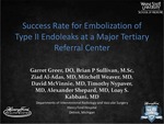 Success Rate of Embolization for Type II Endoleaks at a Major Tertiary Referral Center