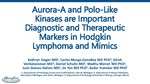 Aurora-A and Polo-Like Kinases are Important Diagnostic and Therapeutic Markers in Hodgkin Lymphoma and Mimics