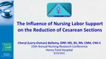 The Influence of Nursing Labor Support on the Reduction of Cesarean Sections by Cheryl Bellamy